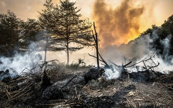 Оценка ущерба после стихийного бедствия в Балашихе: отчет оценщика